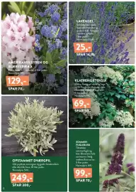 Plantorama tilbudsavis Side 6