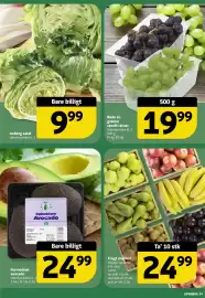 Løvbjerg tilbudsavis uge 17 Side 19