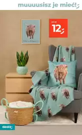 Dealz gazetka tydzień 17 Strona 36