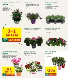 Horta folder Pagina 4