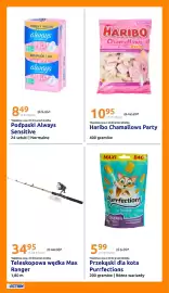 Action gazetka tydzień 17 Strona 25