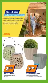 Action Flugblatt woche 17 Seite 19