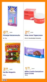 Action Flugblatt woche 17 Seite 25