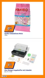 Action Flugblatt woche 17 Seite 30