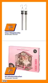 Action Flugblatt woche 17 Seite 7