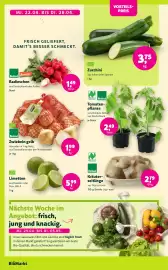 Aleco Biomarkt Prospekt Seite 2