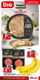 Folleto La Plaza de DIA semana 17 Página 1