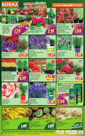 Norma folder week 17 Pagina 4