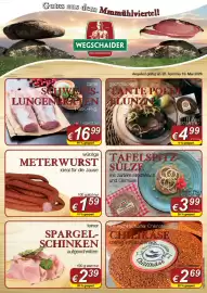Wegschaider Flugblatt Seite 3