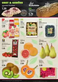 Meyer's Frischemarkt Prospekt woche 17 Seite 2