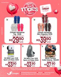 Catálogo Cocipa semana 17 Página 2