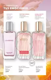 Catálogo Yves Rocher Página 20