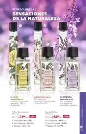 Catálogo Yves Rocher Página 21