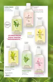 Catálogo Yves Rocher Página 24