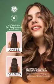 Catálogo Yves Rocher Página 5