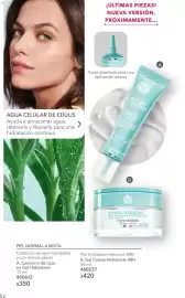 Catálogo Yves Rocher Página 52