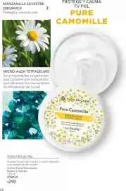 Catálogo Yves Rocher Página 58