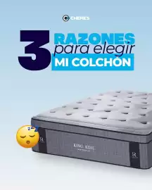 Catálogo Casa Luis Chemes Página 1