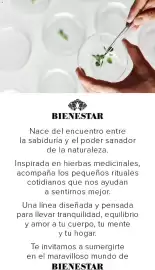 Catálogo Violetta Cosméticos Página 2