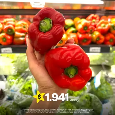 Éxito (válido hasta 28-04)