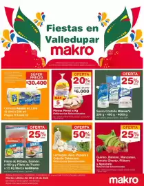 Catálogo Makro Página 1