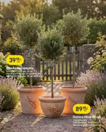 Castorama gazetka Strona 27