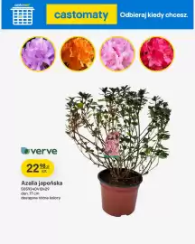 Castorama gazetka Strona 29