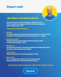 Castorama gazetka Strona 31