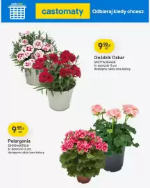 Castorama gazetka Strona 37