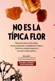 Catálogo Oriflame Página 6