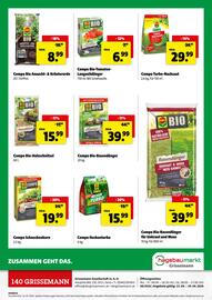 Der Grissemann Flugblatt woche 17 Seite 12