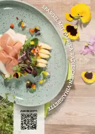 Der Grissemann Flugblatt woche 17 Seite 2