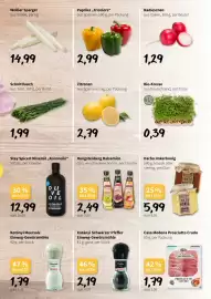 Der Grissemann Flugblatt woche 17 Seite 3