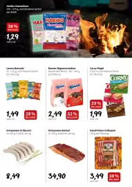 Der Grissemann Flugblatt woche 17 Seite 5