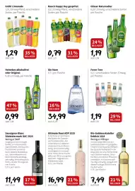 Der Grissemann Flugblatt woche 17 Seite 8