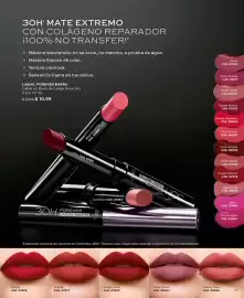 Catálogo L'bel Página 13