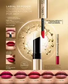 Catálogo L'bel Página 16