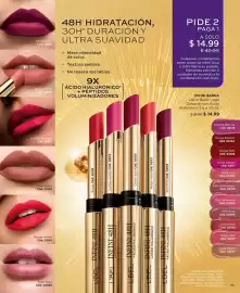 Catálogo L'bel Página 17