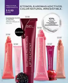 Catálogo L'bel Página 6