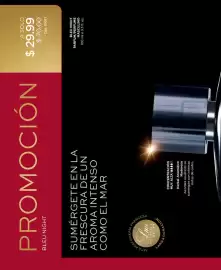 Catálogo L'bel Página 96