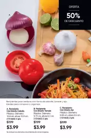 Catálogo AVON Página 19
