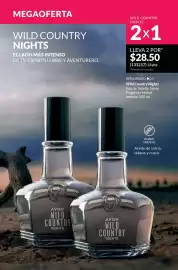 Catálogo AVON Página 105