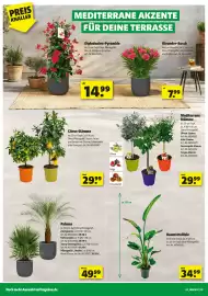 Leitermann Baumarkt Prospekt Seite 2