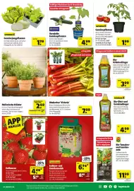 Leitermann Baumarkt Prospekt Seite 3