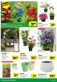 Leitermann Baumarkt Prospekt Seite 4