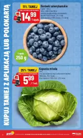 Polomarket gazetka tydzień 17 Strona 6