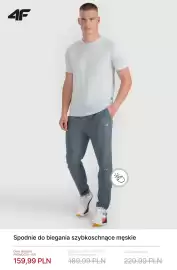 4F gazetka tydzień 17 Strona 10