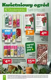 Stokrotka gazetka tydzień 17 Strona 46