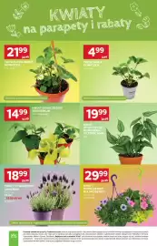 Stokrotka gazetka tydzień 17 Strona 48