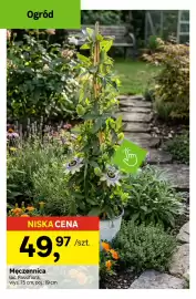 Leroy Merlin gazetka Strona 6